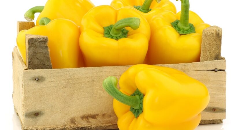 Here Are 5 Nourishing Reasons And Health Advantages Of Bell Peppers