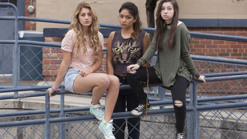 Is Now On Netflix: What To Perceive About The Famous Troubled Teen Web Series