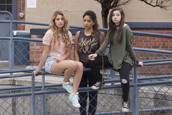 Is Now On Netflix: What To Perceive About The Famous Troubled Teen Web Series